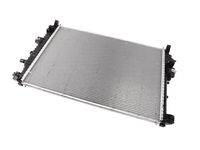 GM 42808689 RADIATOR ASM,ENG
