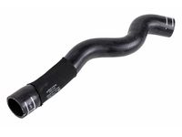 GM 23116444 Radiator Inlet Hose