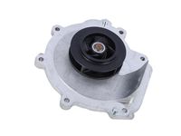 GM 40009321 PUMP ASM-WAT