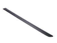 GM 22594617 Rear Side Door Center Molding Assembly