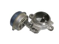 GM 5233475 Valve & Actuator Assembly, Efe GM 5233475 Valve & Actuator Assembly, Efe