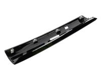 GM 23239517 Applique Assembly, Body Side Upper Rear