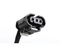 GM 84388146 Harness Assembly, B/U Lp Wrg GM 84388146 Harness Assembly, B/U Lp Wrg