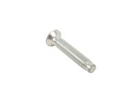 GM 11602028 BOLT,E/GATE HGE BRKT (BODY SI)