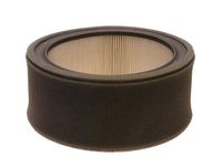 GM 25043585 Element (Pap / Poly) (A926C) GM 25043585 Element (Pap / Poly) (A926C)