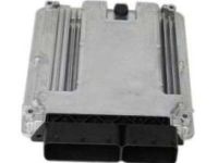 GM 12623325 Module Assembly, Engine Control (E69)
