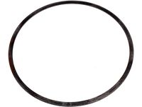 GM 25194737 Shim, Input Shaft Bearing GM 25194737 Shim, Input Shaft Bearing