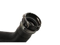 GM 85119159 Radiator Outlet Hose