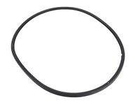 GM 22888210 Weatherstrip Assembly, Rear Side Door Window Rh GM 22888210 Weatherstrip Assembly, Rear Side Door Window Rh