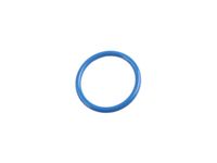 GM 55496593 Seal, Egr Pipe (O Ring) GM 55496593 Seal, Egr Pipe (O Ring)