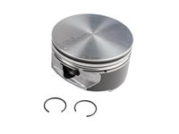 GM 19207287 Piston (WithPinion)