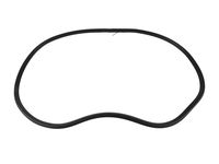 GM 20944482 Rear Side Door Weatherstrip Assembly (Body Side)