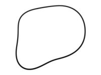 GM 89060115 Seal,Differential Carrier Cover (Right)