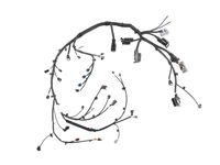 GM 42643489 Harness Assembly, Ecm & Eng Wrg