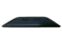 GM 15738682 Pad, Rear Bumper Step Center *Marked Print