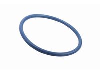 GM 55503998 SEAL-CR/SHF FRT (O RING) GM 55503998 SEAL-CR/SHF FRT (O RING)