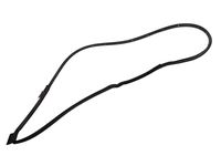 GM 42562283 Front Side Door Weatherstrip Assembly