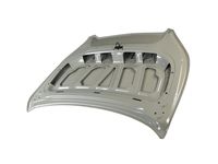 GM 23392595 Hood Assembly