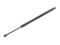 GM 42692593 Liftgate Strut Assembly