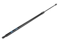 GM 42821431 Liftgate Strut Assembly