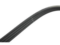 GM 25206736 BELT-ACSRY DRV PRIM GM 25206736 BELT-ACSRY DRV PRIM