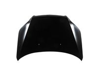 GM 95190194 Hood Assembly GM 95190194 Hood Assembly