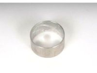 15633556 - Genuine GM Plunger,Trfr Case Shift Detent