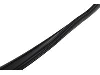 GM 84244793 Rear S/D Weatherstrip Assembly