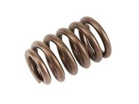 GM 19257200 Spring Kit,Valve (W/Cap)