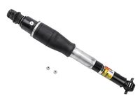 GM 19300035 Rear Leveling Shock Absorber Kit