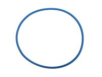 GM 24299293 Seal, Trns Fluid Fltr (O Ring) GM 24299293 Seal, Trns Fluid Fltr (O Ring)