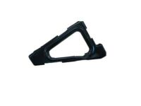 GM 10109668 Support,Radiator Grille