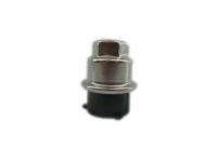 GM 10227993 Wheel Nut Cap *Silver/Black