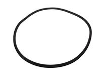 GM 20993868 Rear Side Door Weatherstrip Assembly (Body Side)