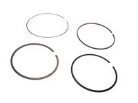 GM 55500618 Ring Kit, Pstn GM 55500618 Ring Kit, Pstn