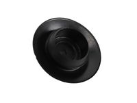 GM 10071637 Plug, Push, On