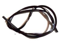 GM 10446566 Molding, Windshield Reveal