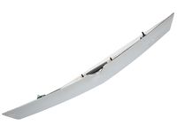 GM 22762876 Applique,Lift Gate Center (W/Rear License Plate Lamp) *Chrome