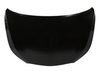 GM 9056534 Hood Assembly GM 9056534 Hood Assembly