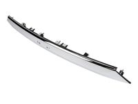 GM 84382919 Applique Assembly, Rear Closure Center *Bright Chromm GM 84382919 Applique Assembly, Rear Closure Center *Bright Chromm