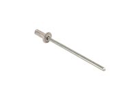GM 11611768 Rivet