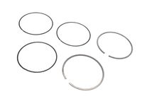 GM 55507069 Ring Kit, Pstn