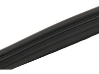 GM 42474602 Rear Side Door Weatherstrip Assembly
