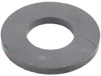 GM 29535617 Magnet,Trans