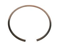 GM 24043663 Ring-1-2-3-4 Clu Bkg Plt Ret