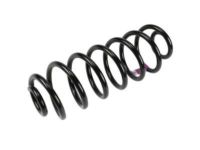 Chevrolet Trailblazer Coil Springs - 15948010 Rear Spring