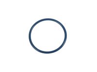 GM 12698384 Gasket, Cm/Shf Posn Actr Magnet