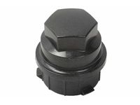 GM 9598101 Nut,Hub Cap