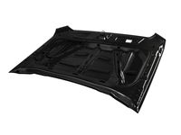 GM 84610676 Hood Assembly