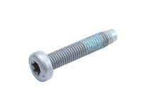 GM 11548437 Bolt/Screw
